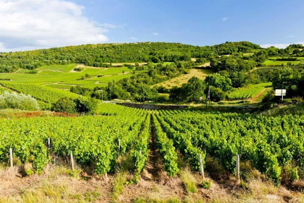 Le Chardonnay - Locationtournus 아파트 외부 사진